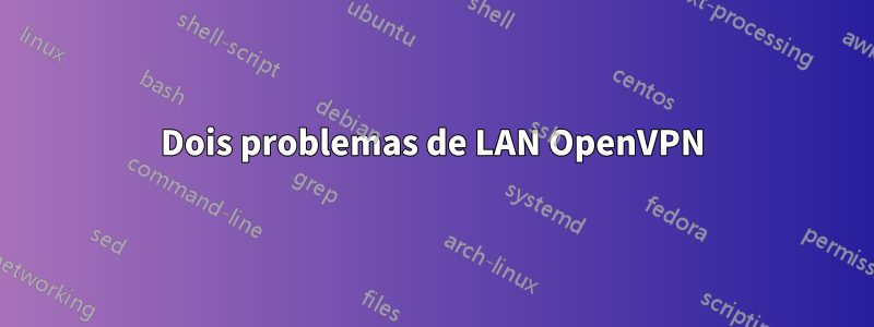 Dois problemas de LAN OpenVPN