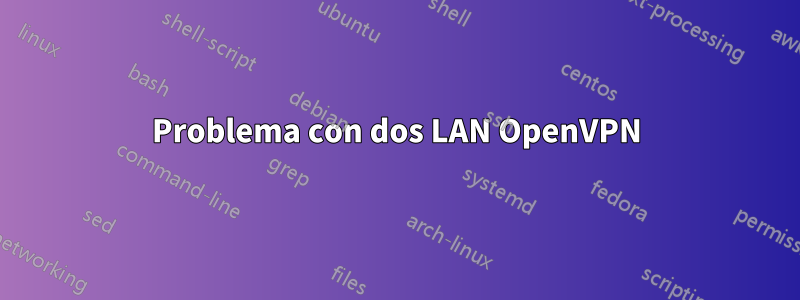 Problema con dos LAN OpenVPN