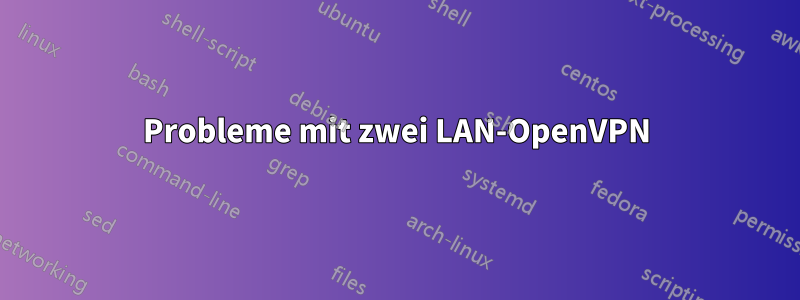 Probleme mit zwei LAN-OpenVPN