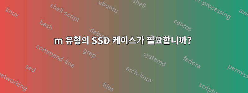 m 유형의 SSD 케이스가 필요합니까?