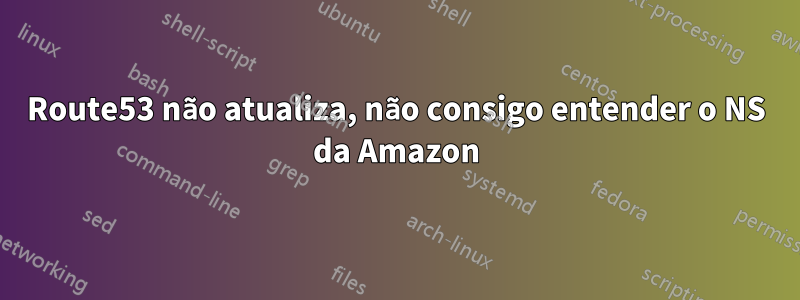 Route53 não atualiza, não consigo entender o NS da Amazon