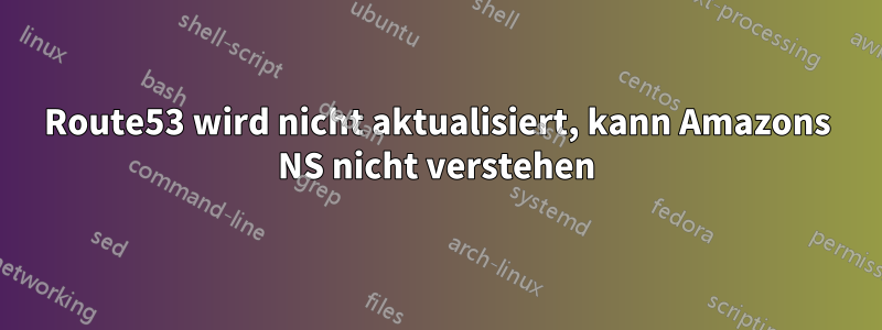 Route53 wird nicht aktualisiert, kann Amazons NS nicht verstehen