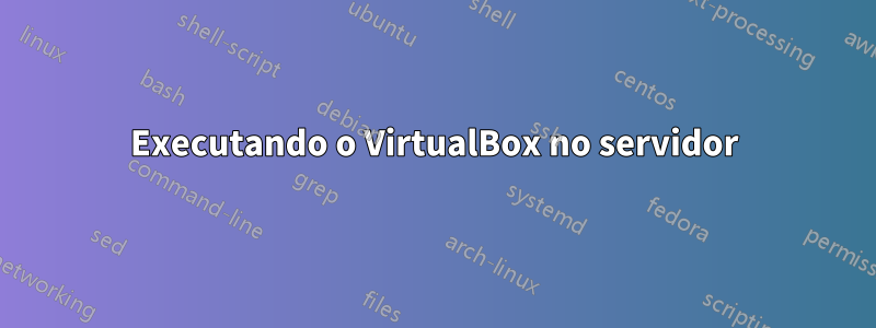 Executando o VirtualBox no servidor