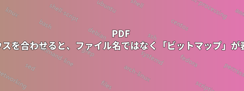 PDF 内の画像にマウスを合わせると、ファイル名ではなく「ビットマップ」が表示されます。