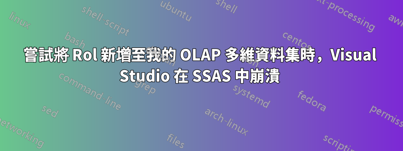 嘗試將 Rol 新增至我的 OLAP 多維資料集時，Visual Studio 在 SSAS 中崩潰