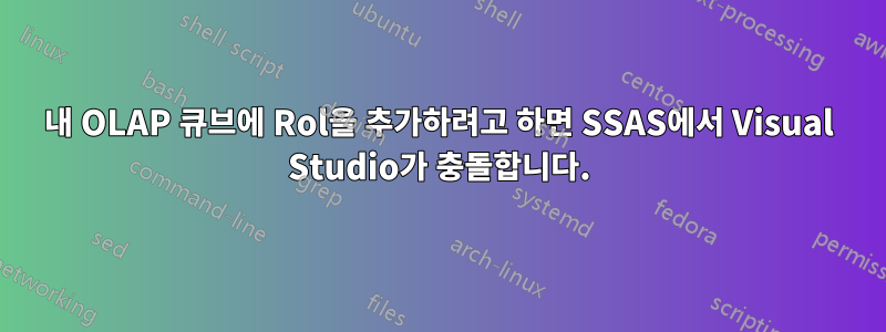 내 OLAP 큐브에 Rol을 추가하려고 하면 SSAS에서 Visual Studio가 충돌합니다.