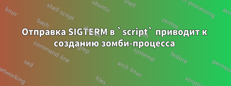 Отправка SIGTERM в `script` приводит к созданию зомби-процесса