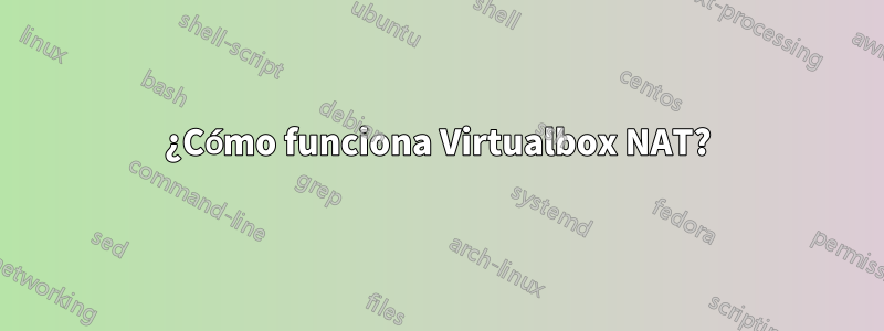 ¿Cómo funciona Virtualbox NAT?