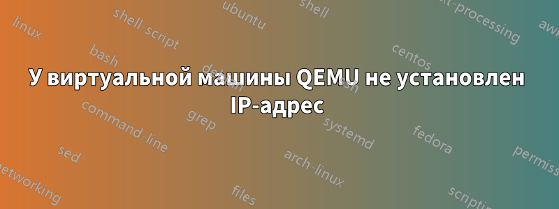 У виртуальной машины QEMU не установлен IP-адрес