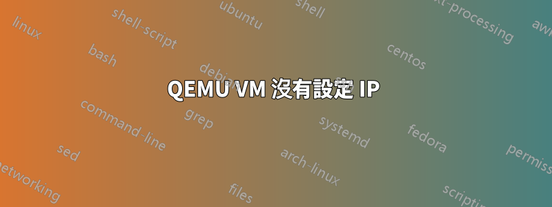 QEMU VM 沒有設定 IP