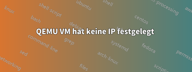 QEMU VM hat keine IP festgelegt