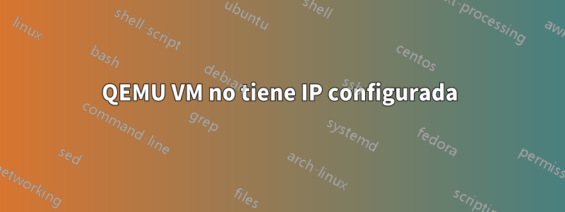 QEMU VM no tiene IP configurada