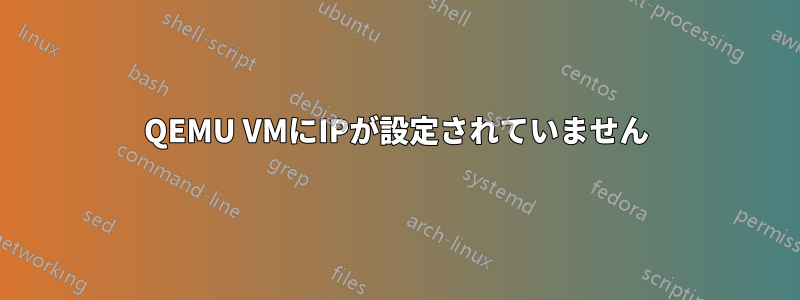 QEMU VMにIPが設定されていません