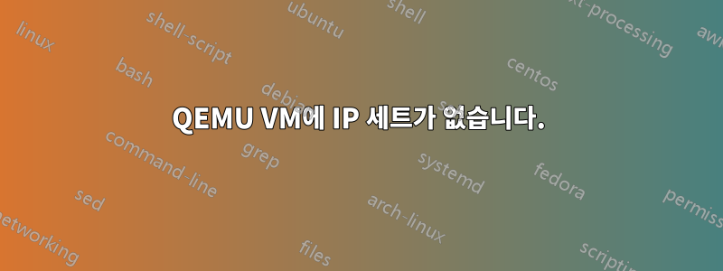 QEMU VM에 IP 세트가 없습니다.