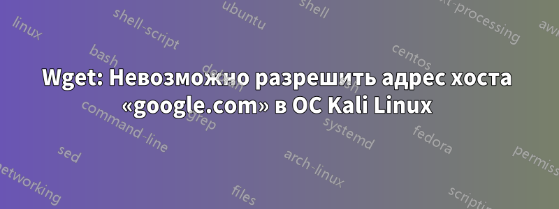 Wget: Невозможно разрешить адрес хоста «google.com» в ОС Kali Linux