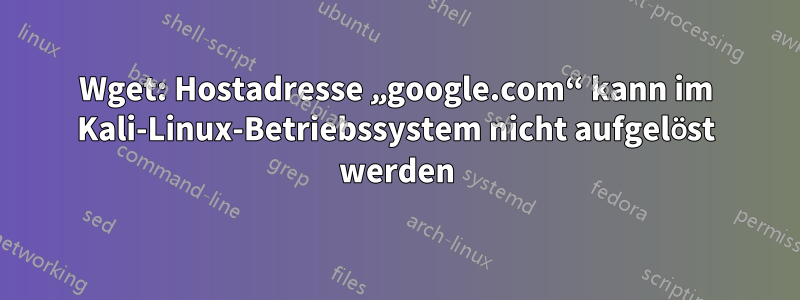 Wget: Hostadresse „google.com“ kann im Kali-Linux-Betriebssystem nicht aufgelöst werden