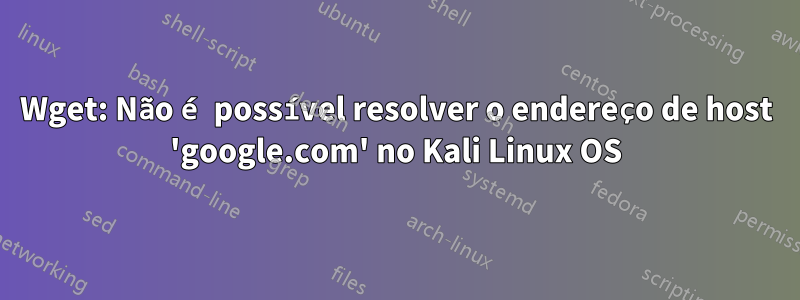 Wget: Não é possível resolver o endereço de host 'google.com' no Kali Linux OS