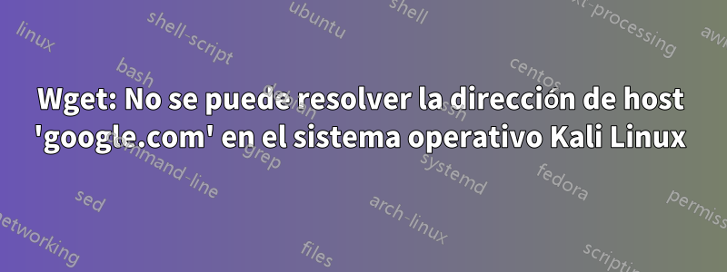 Wget: No se puede resolver la dirección de host 'google.com' en el sistema operativo Kali Linux