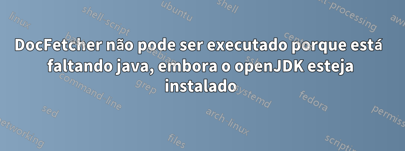 DocFetcher não pode ser executado porque está faltando java, embora o openJDK esteja instalado