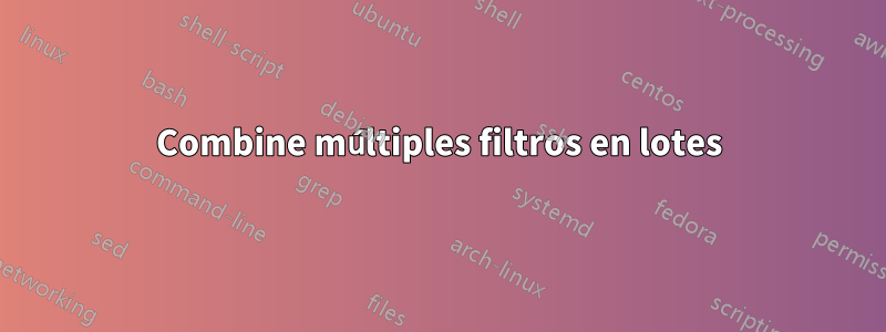 Combine múltiples filtros en lotes