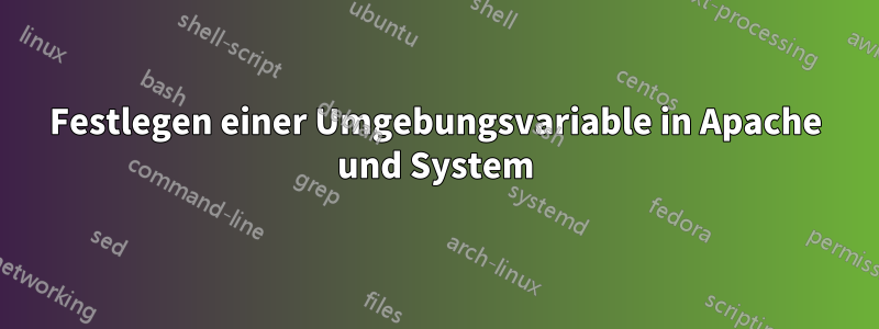 Festlegen einer Umgebungsvariable in Apache und System