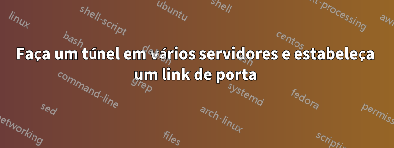 Faça um túnel em vários servidores e estabeleça um link de porta