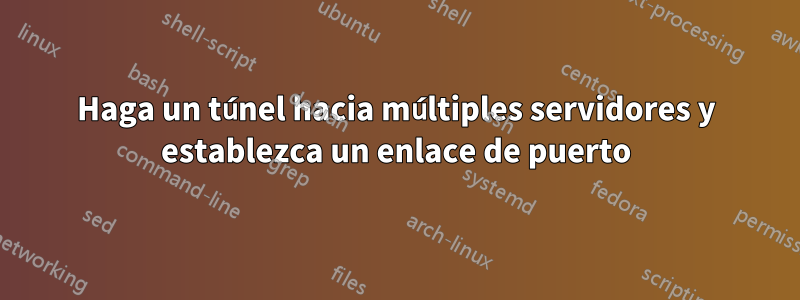 Haga un túnel hacia múltiples servidores y establezca un enlace de puerto