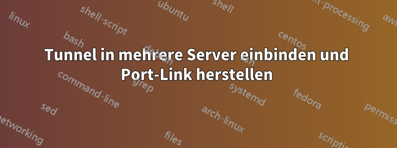 Tunnel in mehrere Server einbinden und Port-Link herstellen