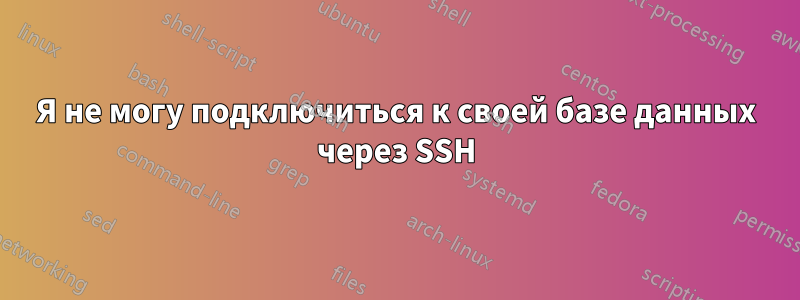 Я не могу подключиться к своей базе данных через SSH