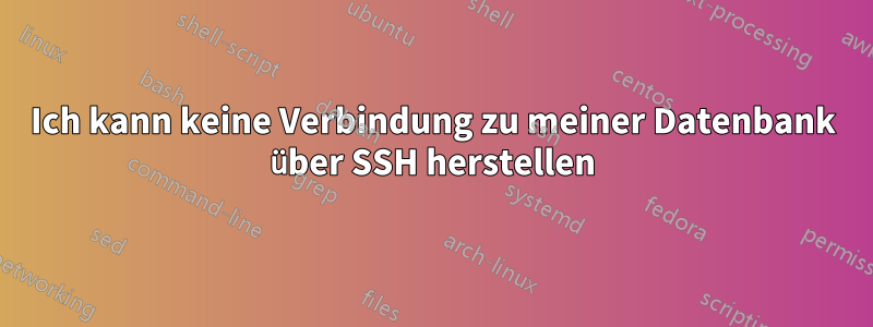 Ich kann keine Verbindung zu meiner Datenbank über SSH herstellen