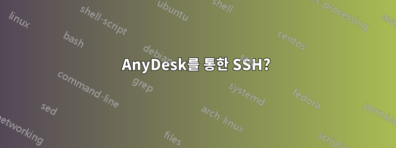 AnyDesk를 통한 SSH?