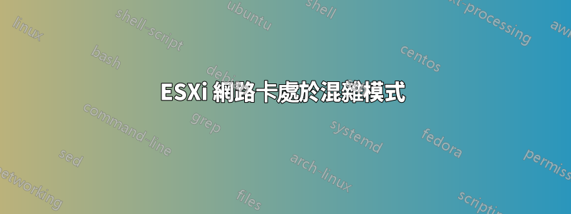 ESXi 網路卡處於混雜模式