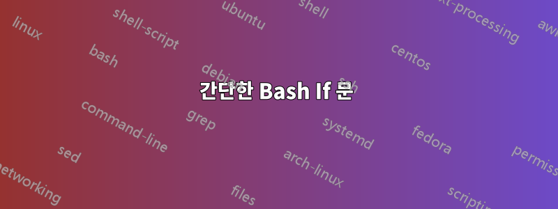 간단한 Bash If 문