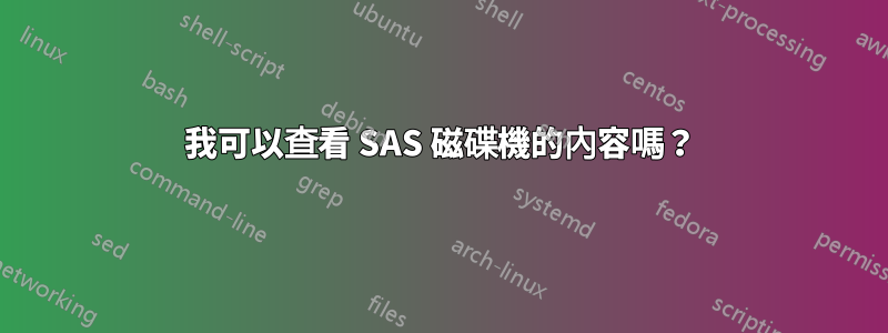 我可以查看 SAS 磁碟機的內容嗎？