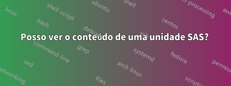 Posso ver o conteúdo de uma unidade SAS?