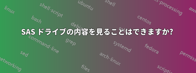 SAS ドライブの内容を見ることはできますか?