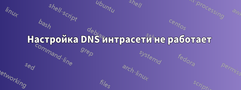 Настройка DNS интрасети не работает