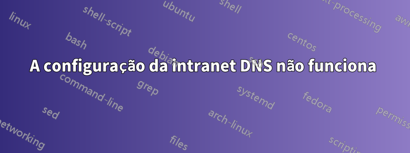 A configuração da intranet DNS não funciona