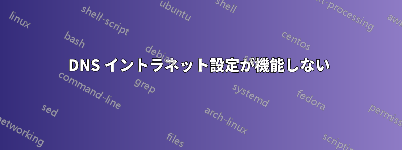 DNS イントラネット設定が機能しない