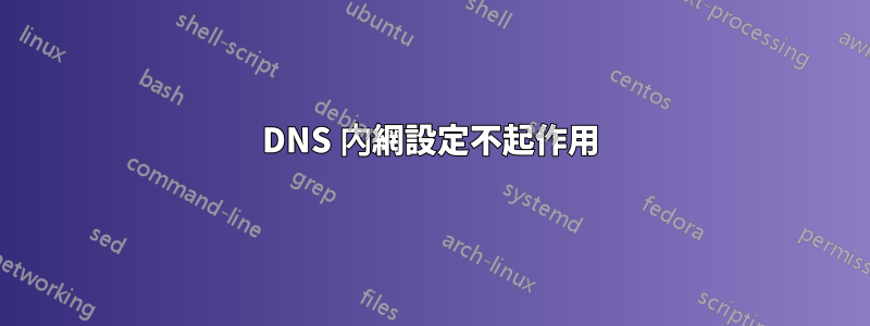 DNS 內網設定不起作用