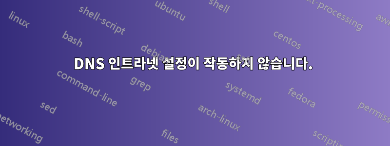 DNS 인트라넷 설정이 작동하지 않습니다.