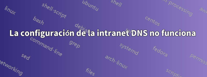 La configuración de la intranet DNS no funciona