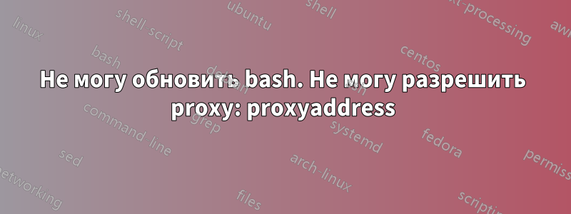 Не могу обновить bash. Не могу разрешить proxy: proxyaddress