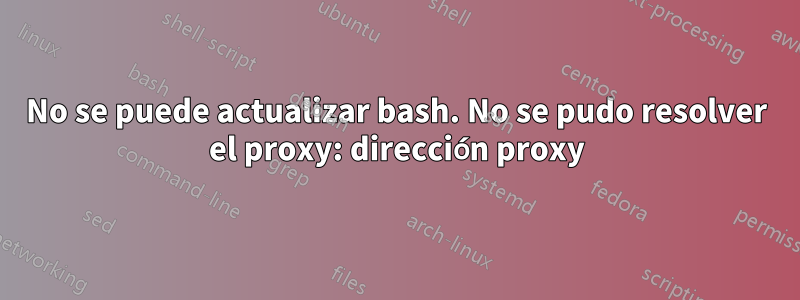 No se puede actualizar bash. No se pudo resolver el proxy: dirección proxy