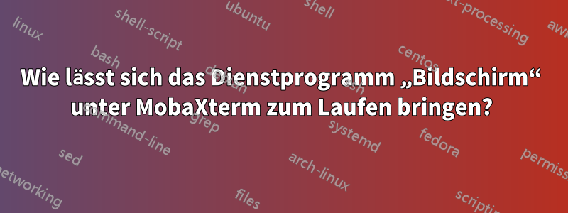 Wie lässt sich das Dienstprogramm „Bildschirm“ unter MobaXterm zum Laufen bringen?