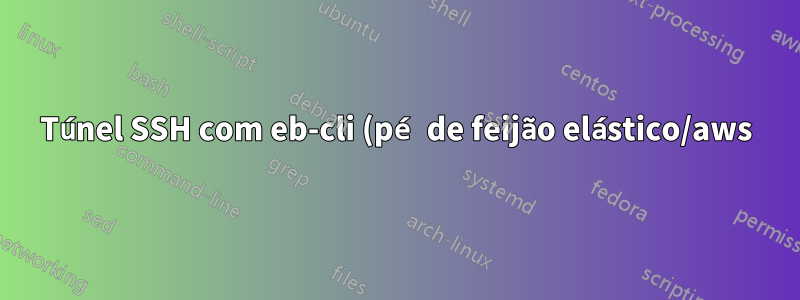 Túnel SSH com eb-cli (pé de feijão elástico/aws)