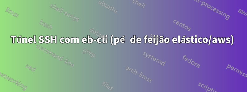 Túnel SSH com eb-cli (pé de feijão elástico/aws)