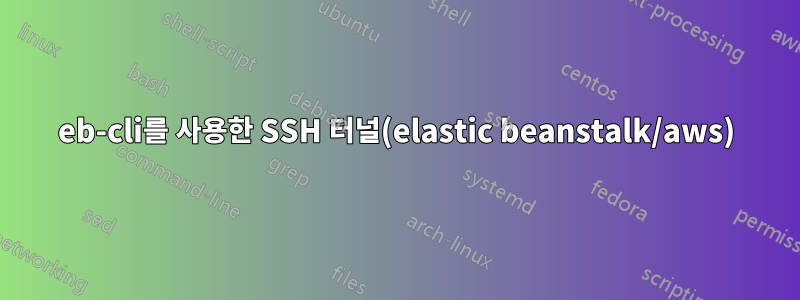 eb-cli를 사용한 SSH 터널(elastic beanstalk/aws)