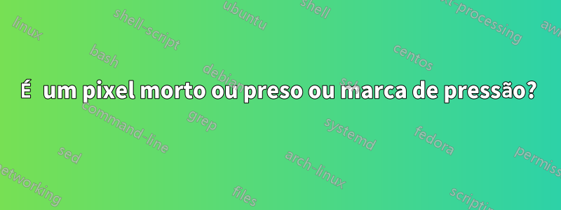 É um pixel morto ou preso ou marca de pressão?