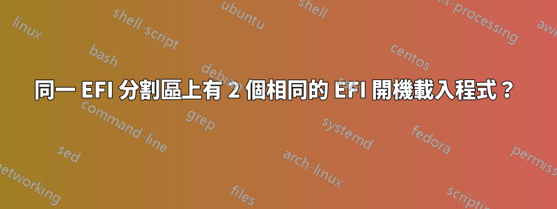 同一 EFI 分割區上有 2 個相同的 EFI 開機載入程式？